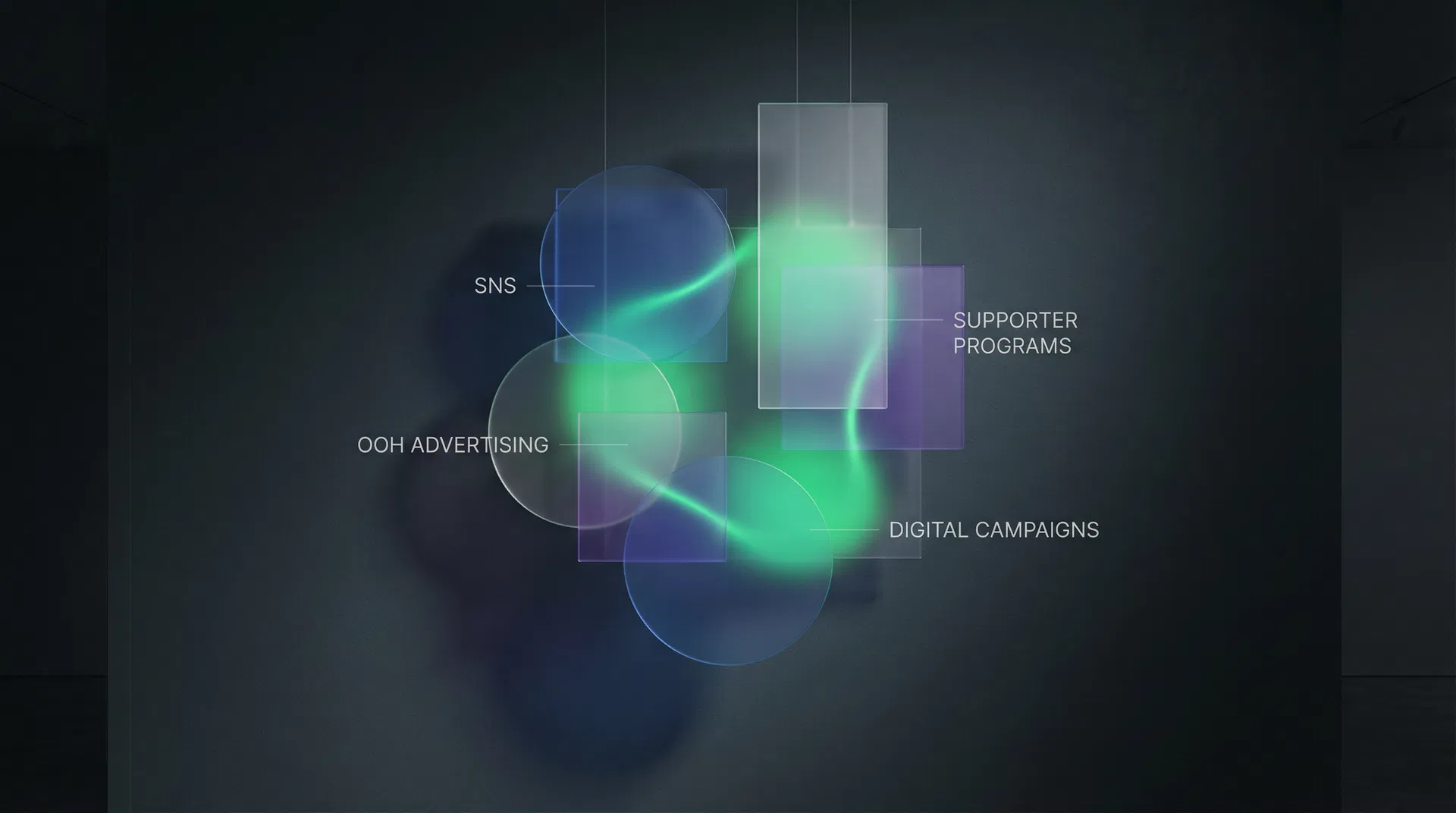 디옵트기획과 디옵트 스튜디오의 캠페인 시너지